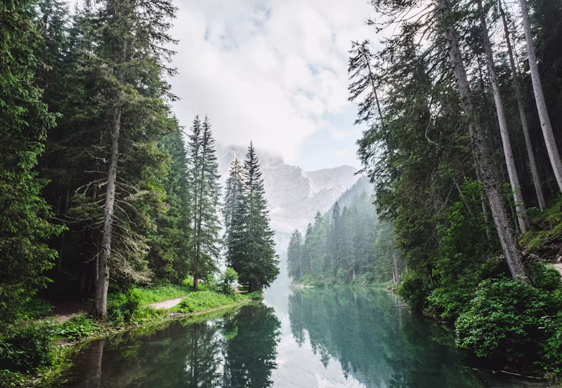 ZIP Sustainability